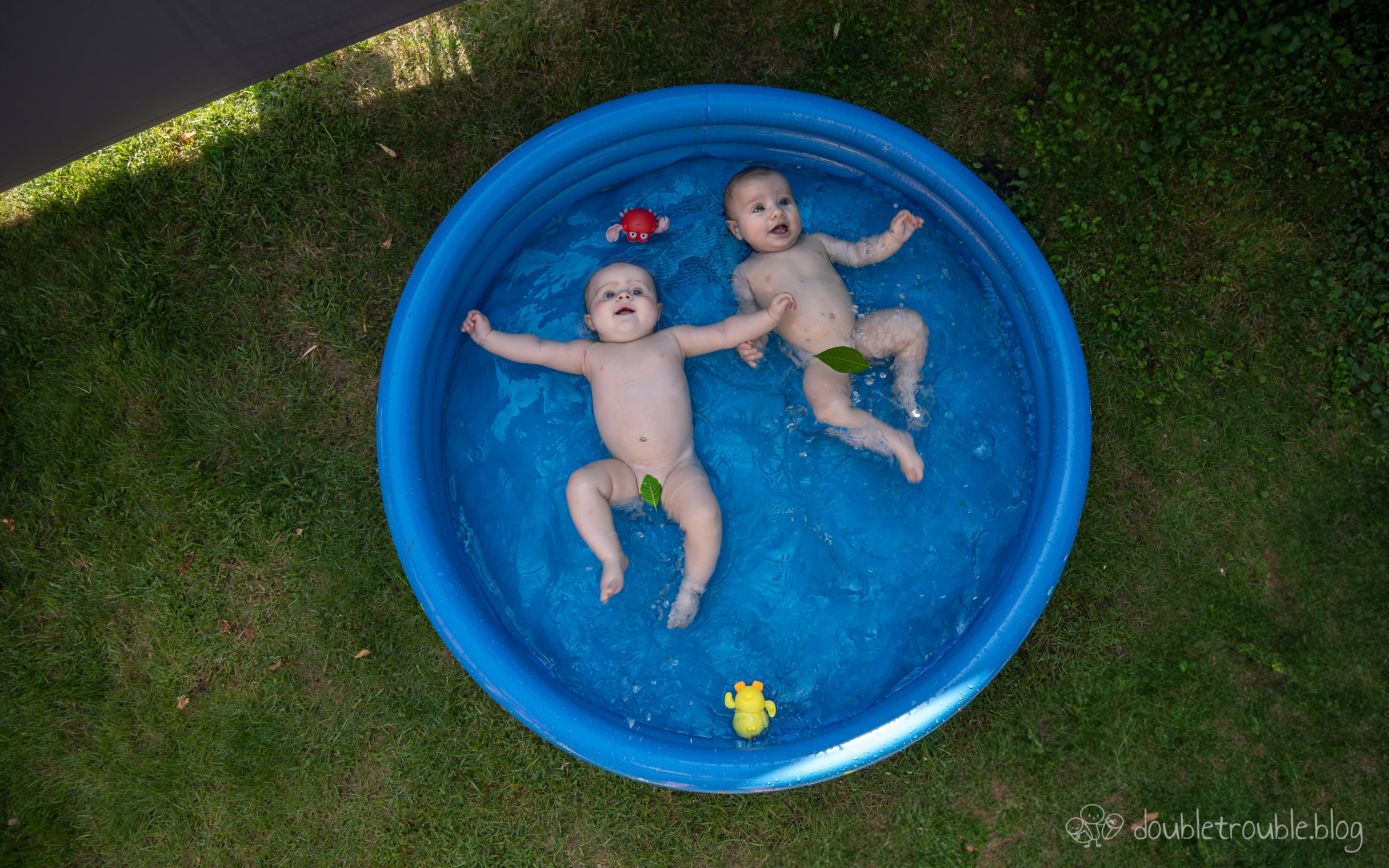 A melhor ideia de Verão